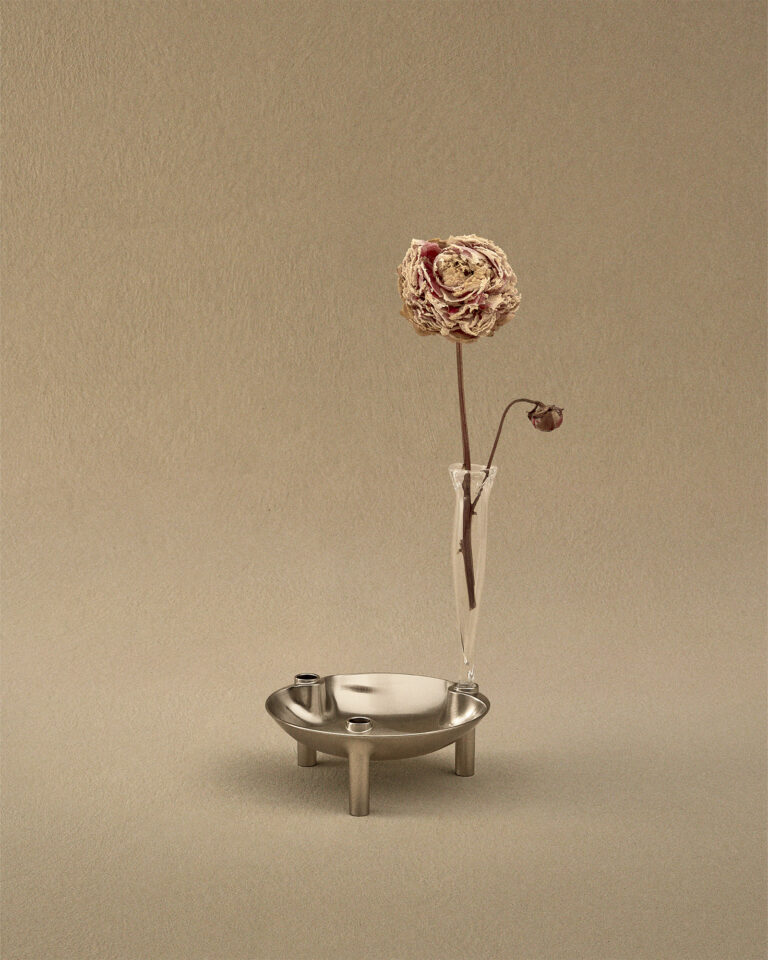 bowl brushed chrome_2nd