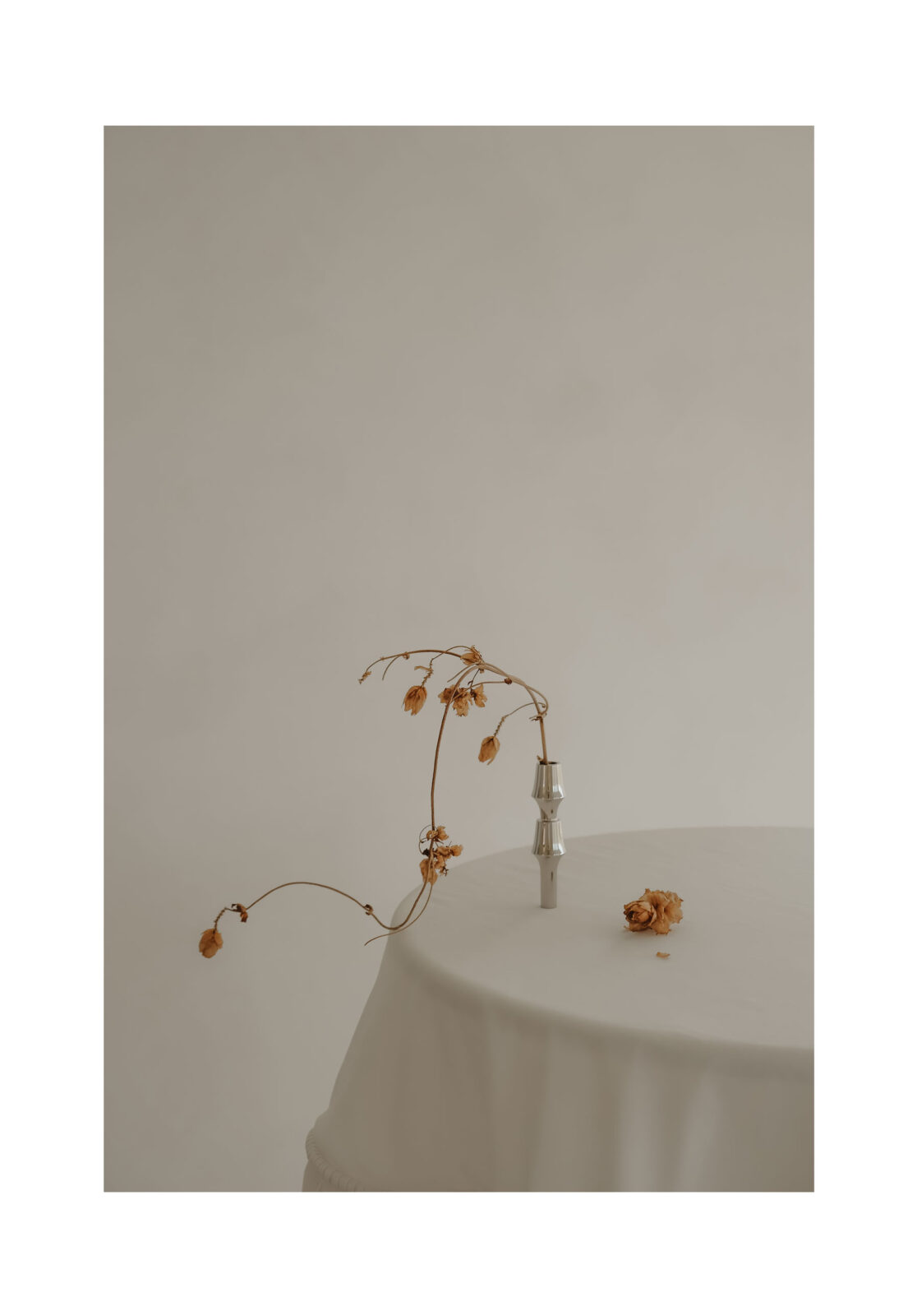 stoff nagel x lune 1860