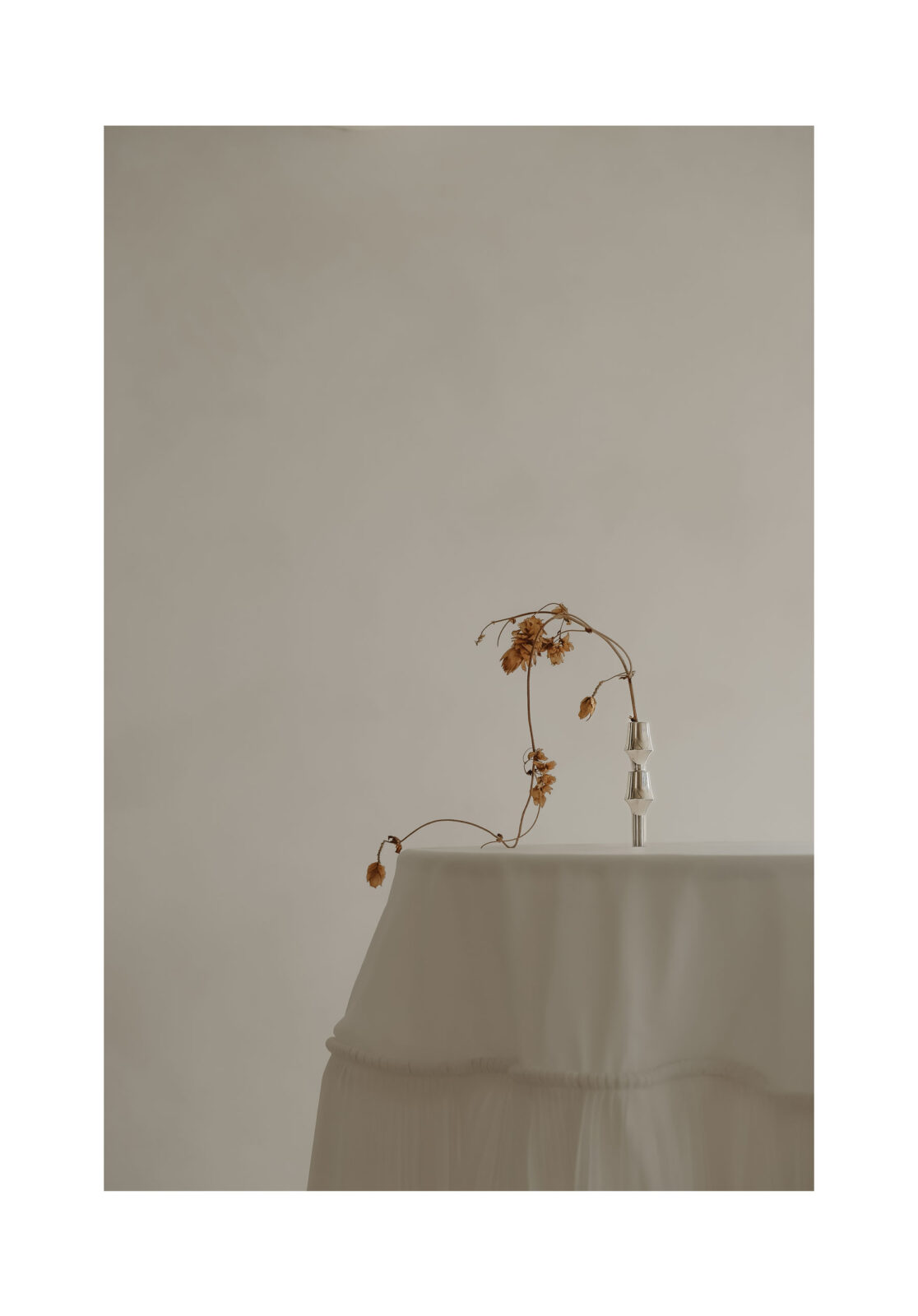 stoff nagel x lune 1860