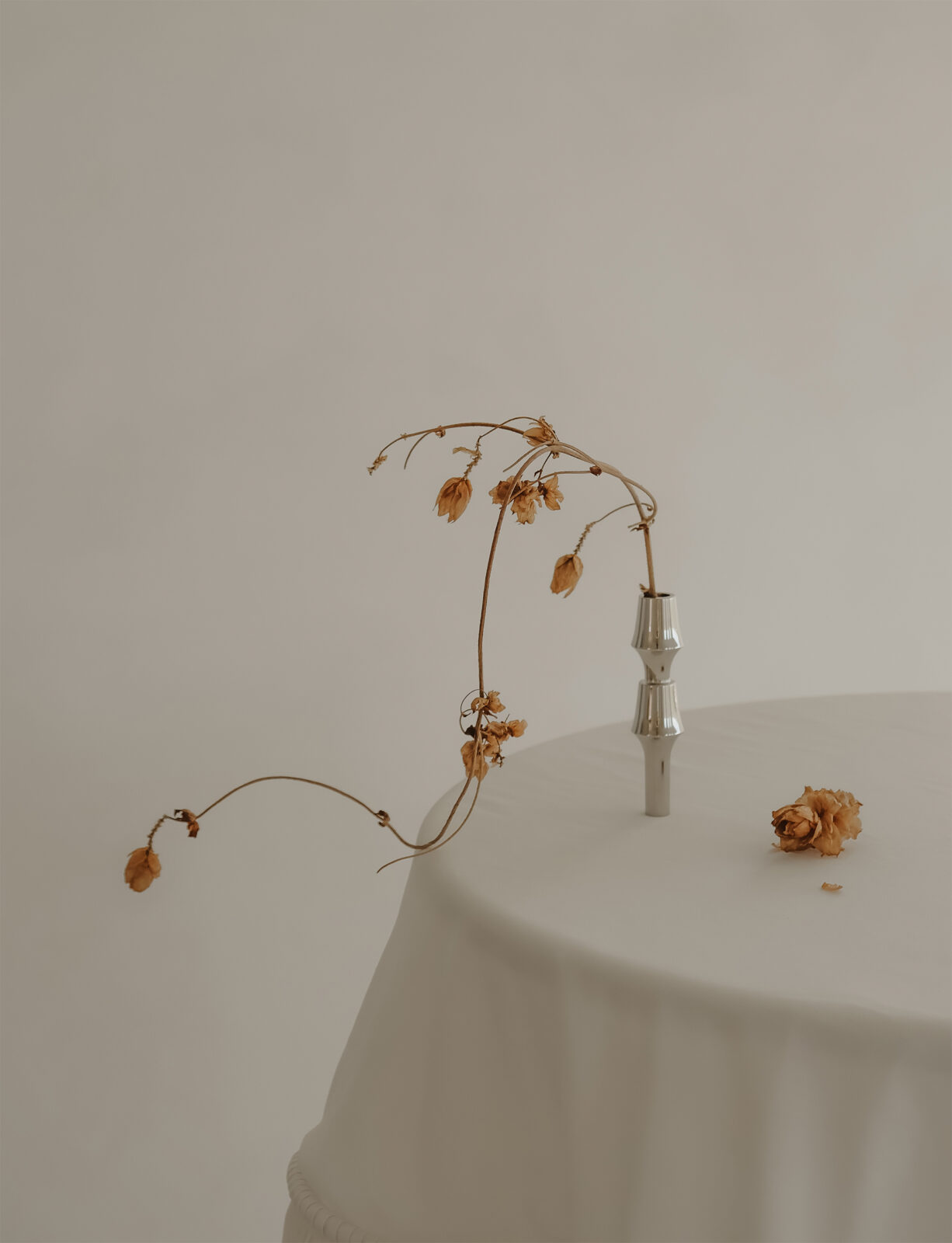 stoff nagel: the bmf vase with a single flower stem - like art.